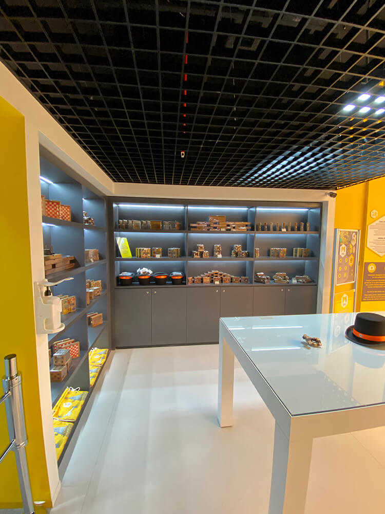Museum Of Illusions