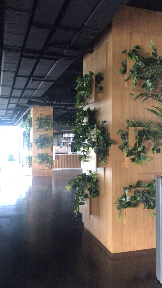 İstinye Üniversitesi