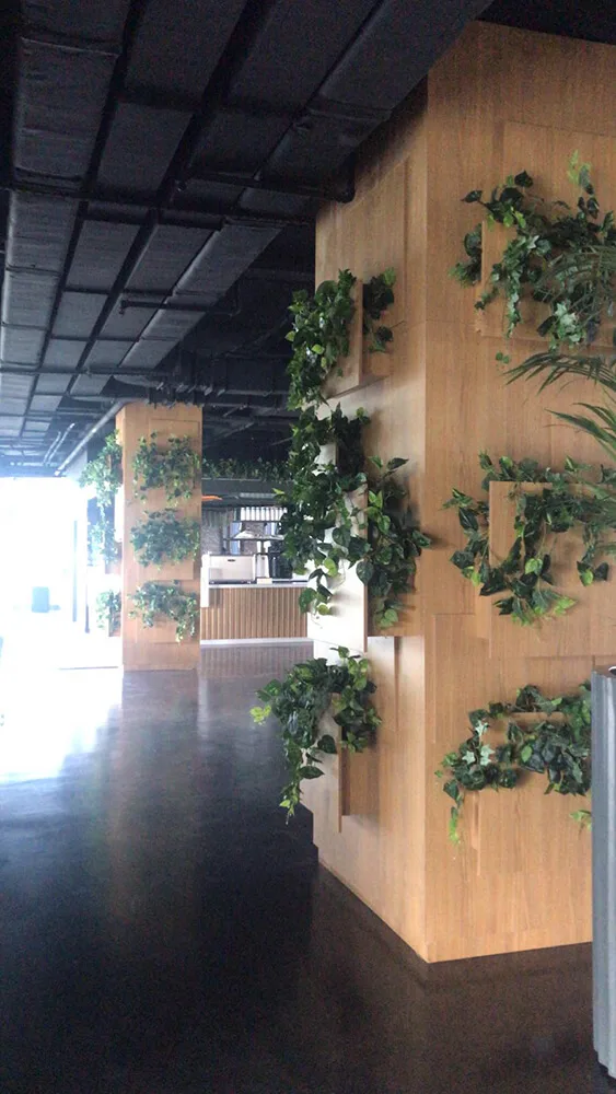İstinye Üniversitesi